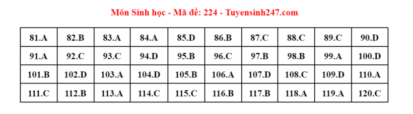 Đáp án gợi ý môn Sinh học mã đề 224 tốt nghiệp THPT 2024. Ảnh: Tuyensinh247.com