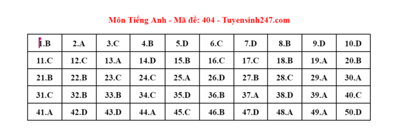 Đáp án gợi ý môn tiếng Anh mã đề 404 tốt nghiệp THPT 2024. Ảnh: Tuyensinh247.com