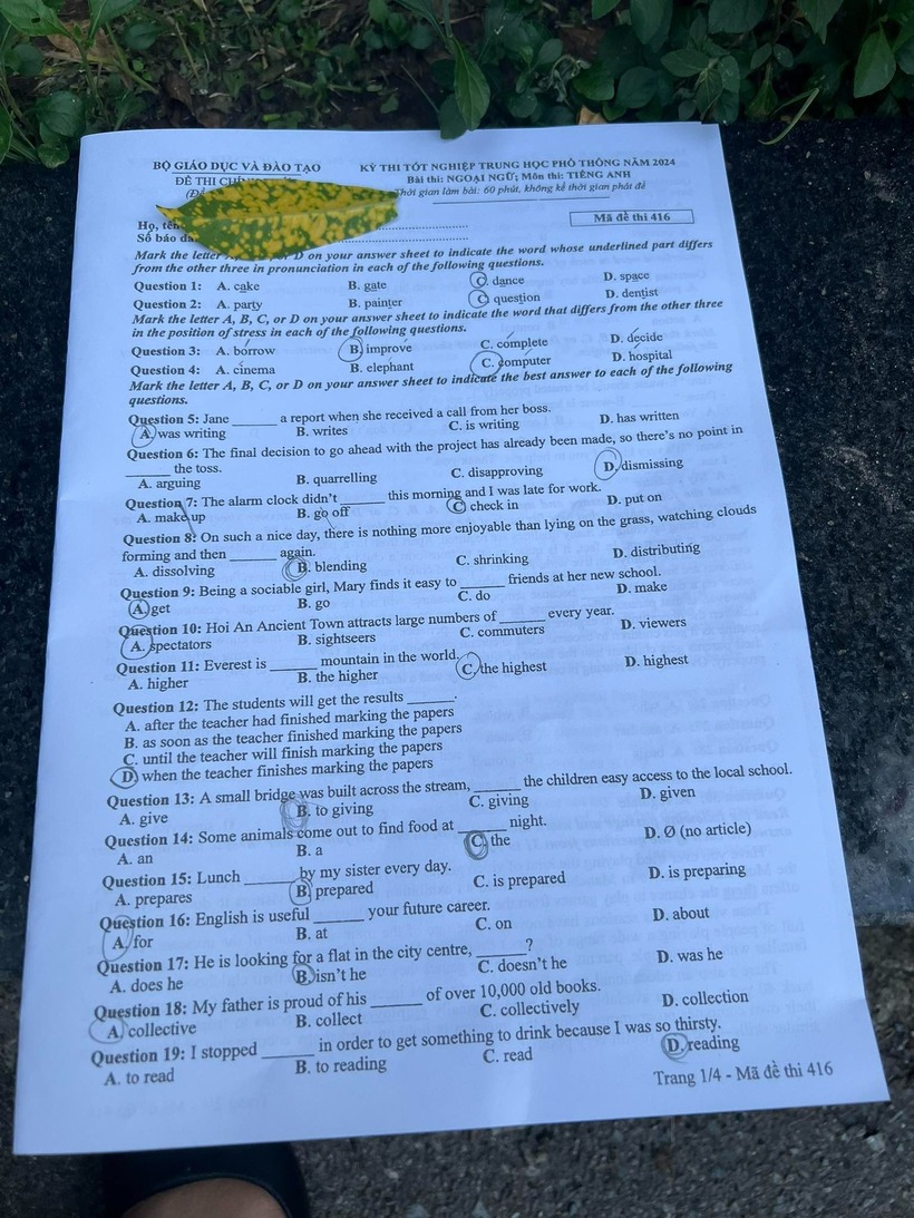Đề thi môn Tiếng Anh mã đề 416 tốt nghiệp THPT 2024 mới nhất, chính xác nhất