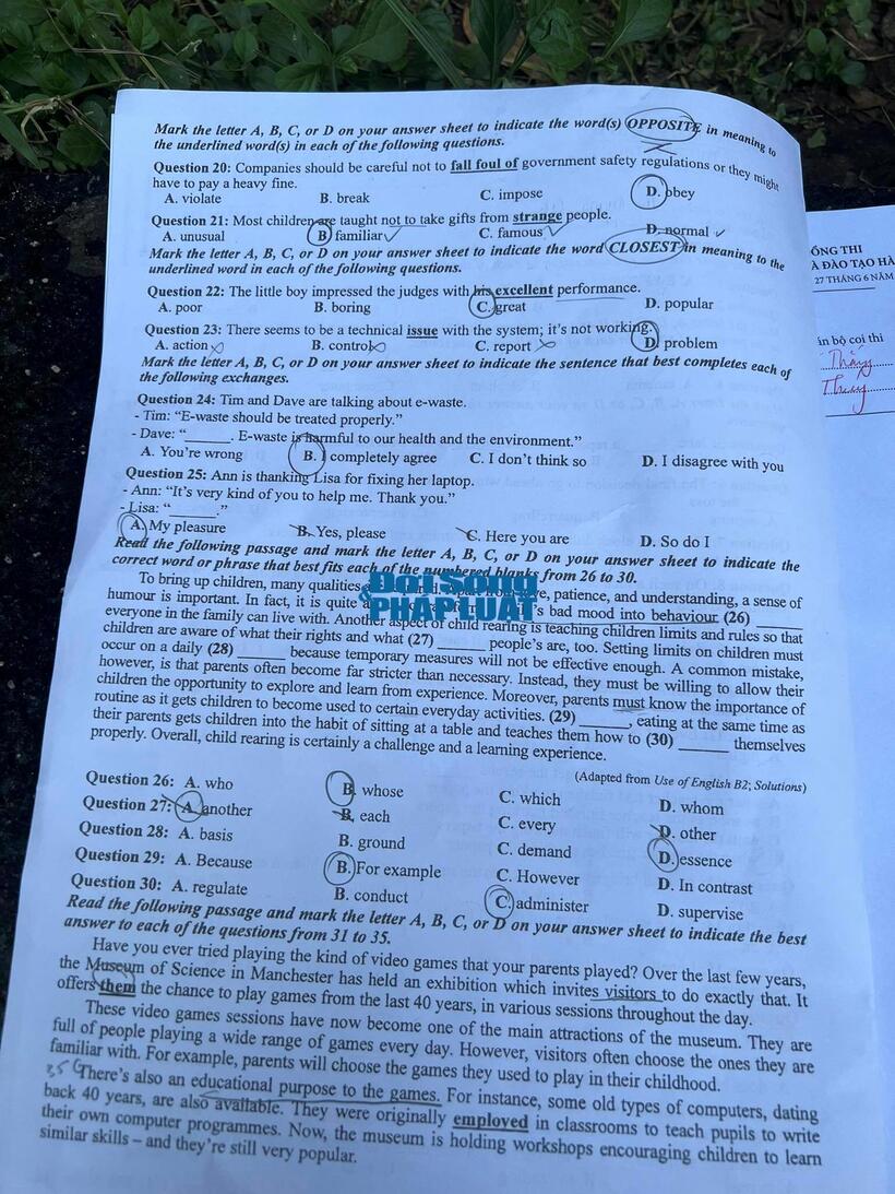 Đáp án đề thi môn Tiếng Anh mã đề 416 tốt nghiệp THPT 2024 mới nhất, chính xác nhất - 3