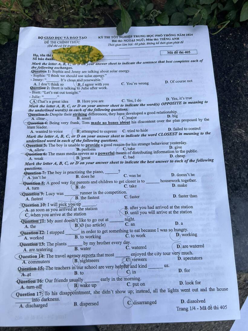 Đề thi môn tiếng Anh mã đề 405 cập nhật lúc 15h43 ngày 28/6.