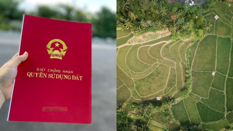 Sổ đỏ cấp sai vị trí đất người dân phải xử lý như thế nào?