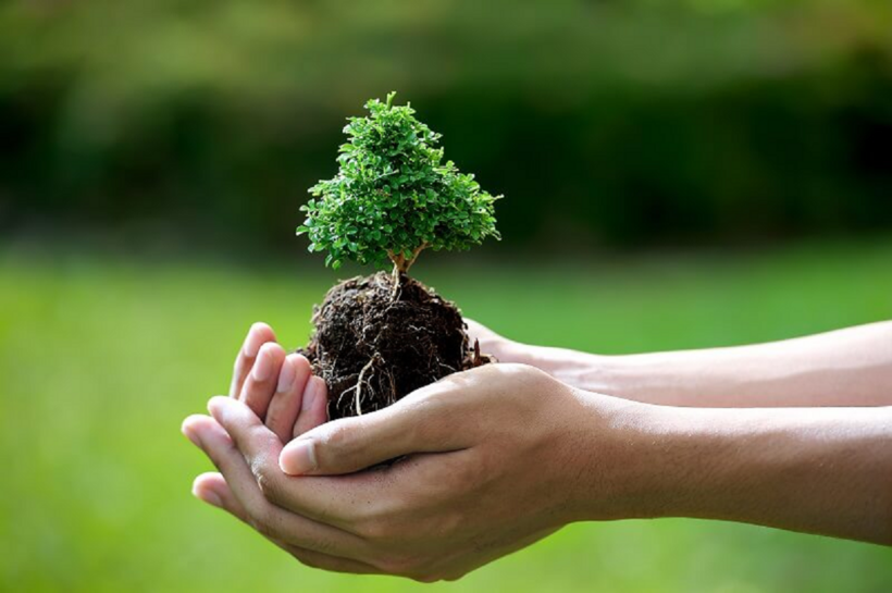 Ngành học liên quan tới tài nguyên môi trường rất phù hợp với các bạn học khối B