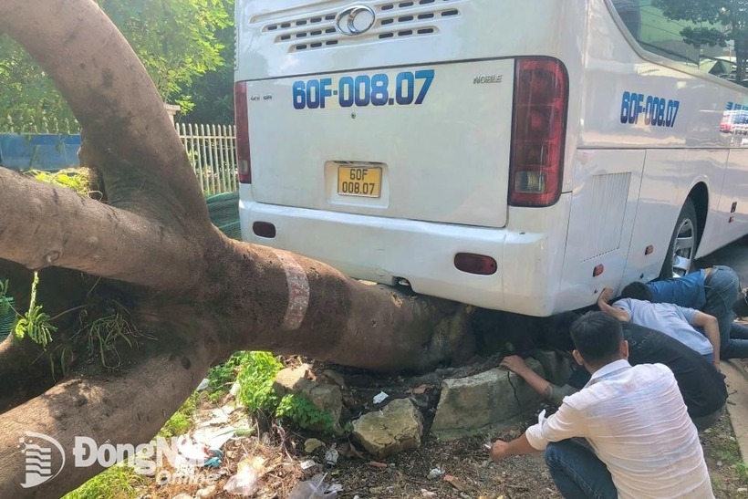 Hiện trường xảy ra vụ việc. Ảnh: Báo Đồng Nai.
