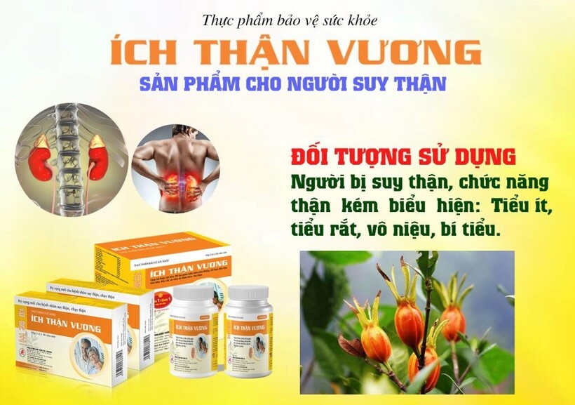 Ích Thận Vương hỗ trợ điều trị suy thận hiệu quả