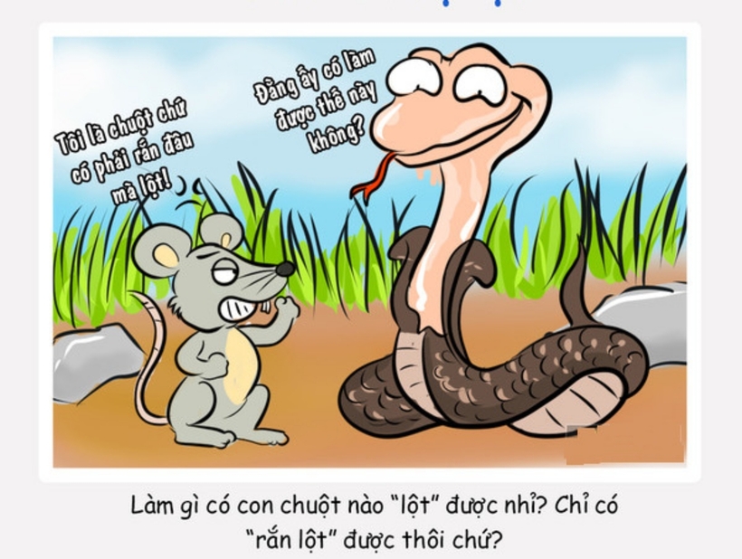 "Nghèo rớt mồng tơi" nghĩa là gì, hiểu sao cho đúng? - 1