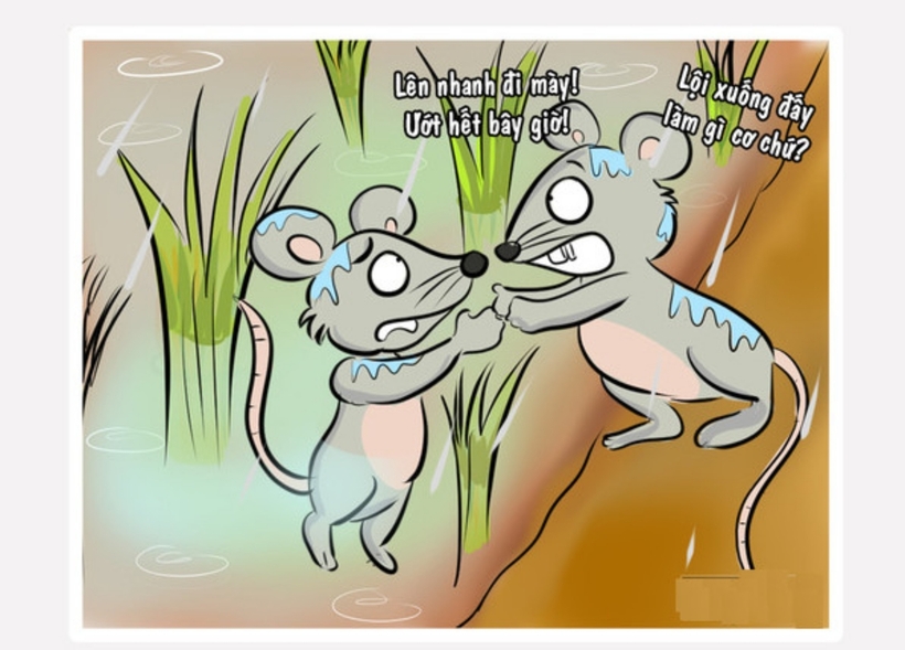 “Ướt như chuột lột” là một câu thành ngữ mà được nhiều người chúng ta đang sử dụng. Nguyên bản của câu thành ngữ này phải là “ướt như chuột lội” câu này có nghĩa chỉ một người bị ướt lướt thướt, quần áo dính chặt vào người giống hình ảnh của một con chuột lội từ dưới nước lên.
