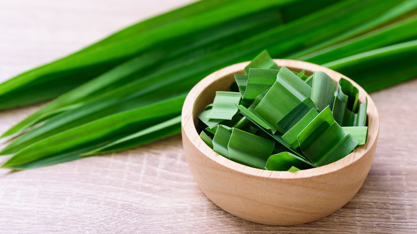 Loại lá là "thần dược" cho sức khỏe người Việt giúp hạ đường huyết, ngừa ung thư.