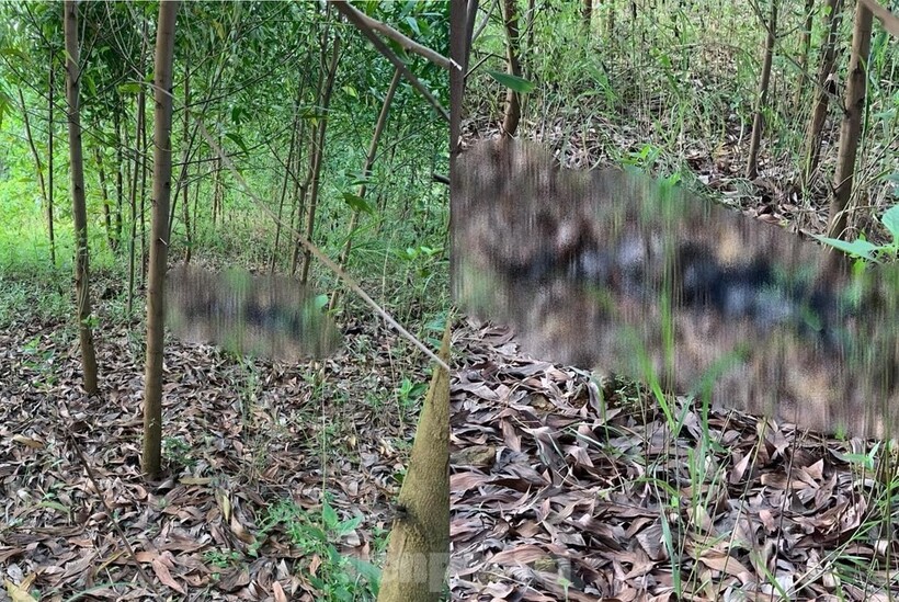 Hiện trường sự việc. (Ảnh: Tiền phong)
