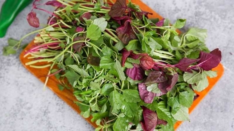 Rau dền vừa rẻ vừa đem lại nhiều lợi ích bất ngờ cho sức khỏe