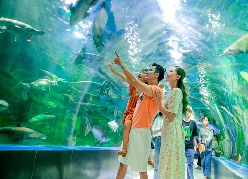 Viện bảo tàng Hải Dương học Nha Trang thu hút đông đảo du khách ghé thăm.