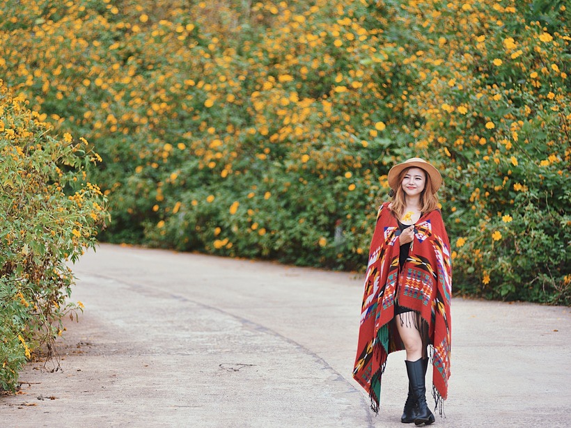 Khám phá đường thông trăm tuổi đậm chất Đà Lạt giữa lòng Gia Lai - 6