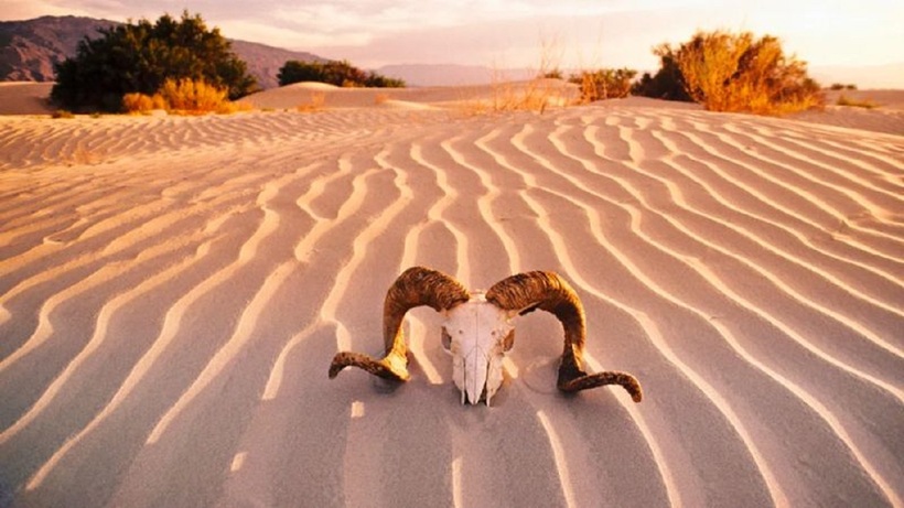 Thung Lũng Chết (Death Valley)