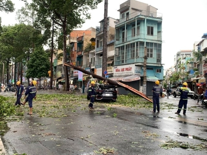 Hiện trường cây đè ô tô trên đường Ngô Gia Tự. Ảnh: Người lao động