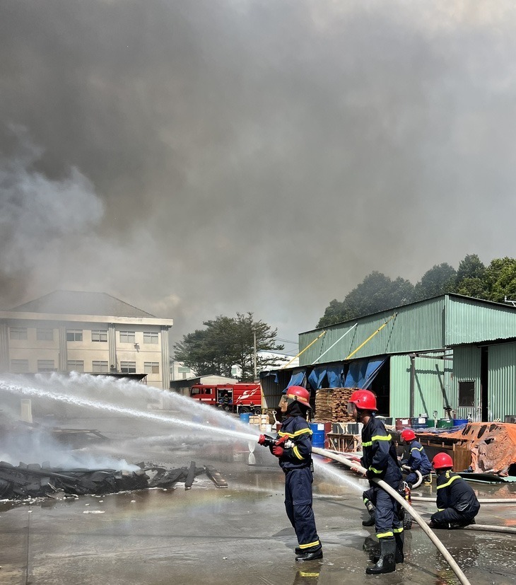 Ngay sau khi nhận được tin báo, lực lượng cảnh sát phòng cháy, chữa cháy và cứu hộ, cứu nạn, Công an tỉnh Bình Dương đã nhanh chóng điều động nhiều phương tiện chữa cháy đến hiện trường để dập lửa. Lực lượng cảnh sát phòng cháy, chữa cháy đã điều động nhiều xe chuyên dụng cùng gần 100 chiến sỹ đến hiện trường.