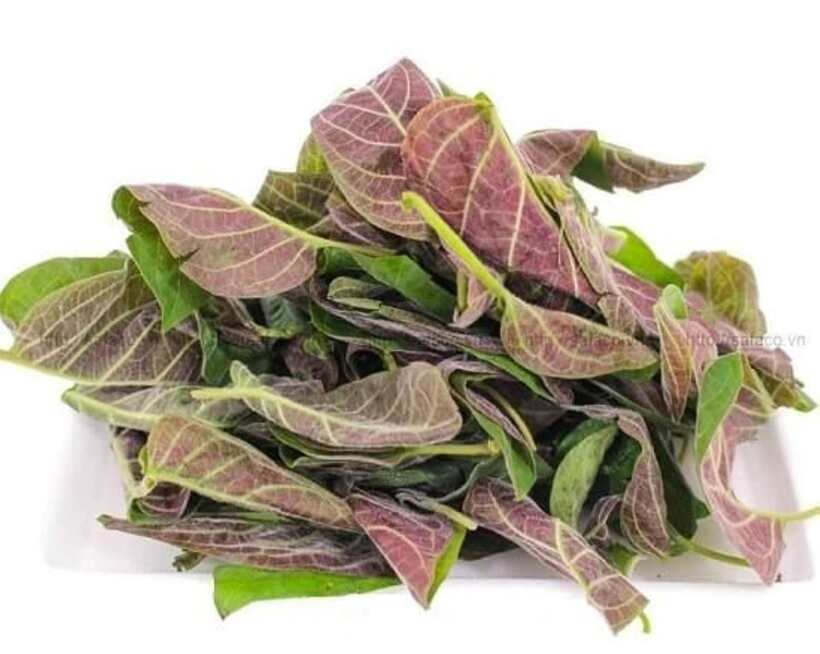 Mơ lông mọc dại ở các vùng trên cả nước. Đây là loại rau thơm ăn kèm thanh mát được coi như "bảo bối" của cơ quan tiêu hóa. Ảnh minh họa
