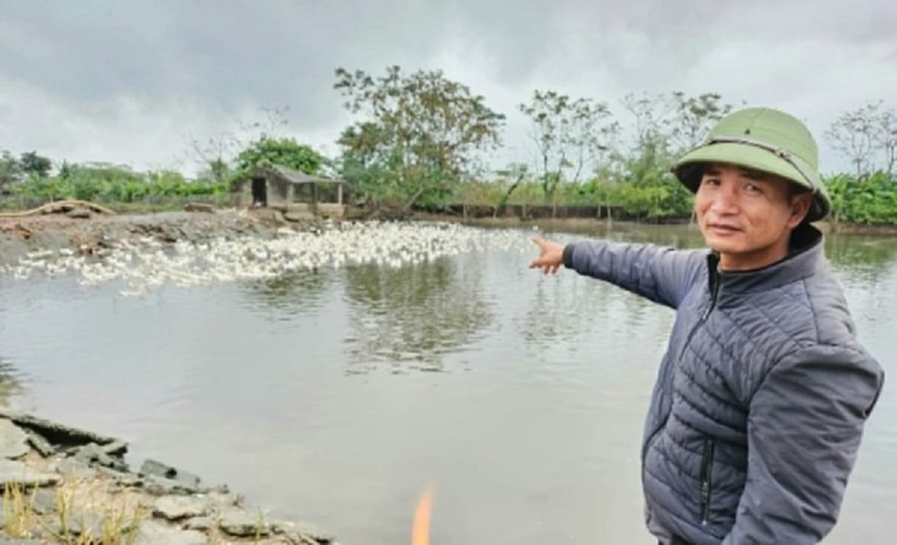 Anh nông dân mỗi năm thu 3 tỷ nhờ nuôi con vật quen thuộc.