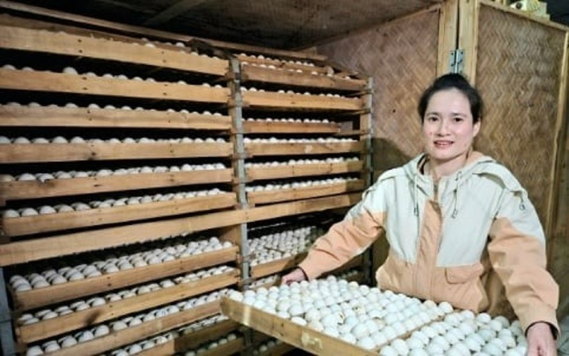 Với những nỗ lực không ngừng nghỉ, mỗi năm gia đình anh Đặng Ngọc Anh thu về gần 3 tỷ đồng.