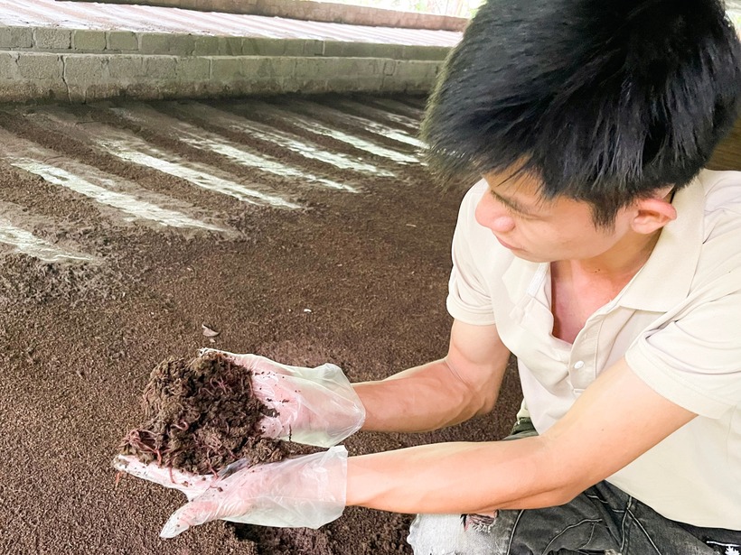 Anh nông dân kiếm tiền tỷ nhờ bí kíp "hô biến" phân lợn thành "vàng đen". Ảnh: Báo Nghệ An
