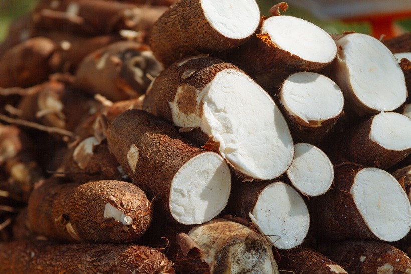 Loại thực phẩm quen thuộc tiềm ẩn nguy cơ tử vong do ngộ độc xyanua.