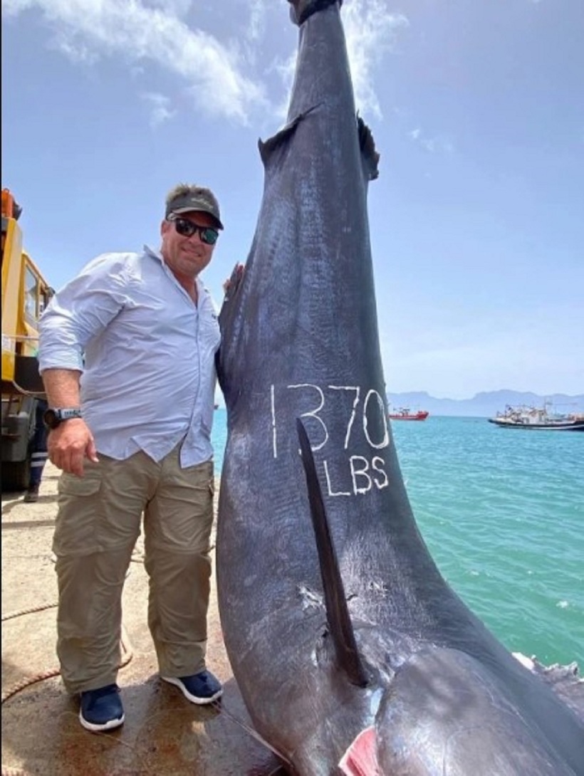 Con cá "khủng" nặng 620kg,