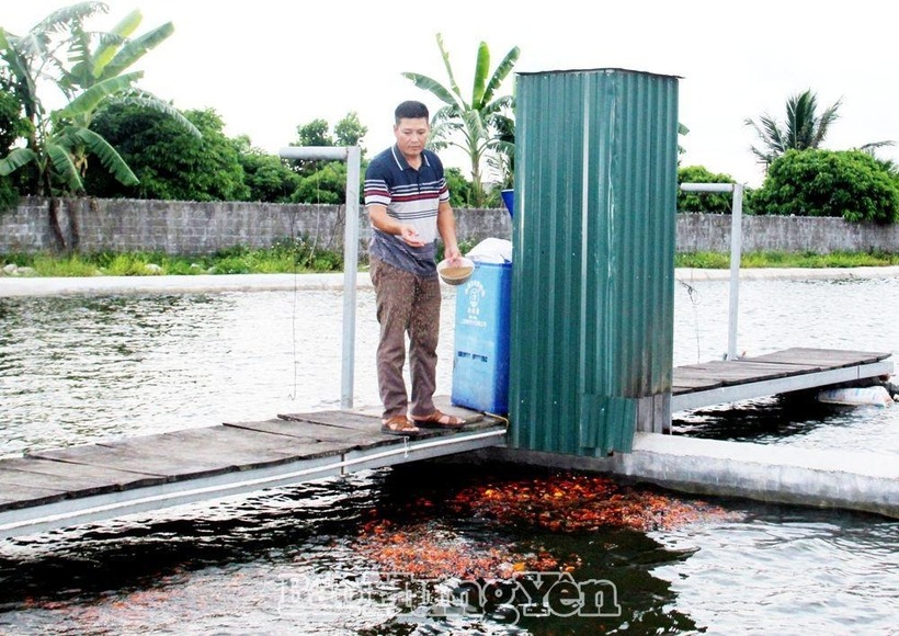 Mô hình nuôi thủy sản của anh Lưu Văn Dũng.
