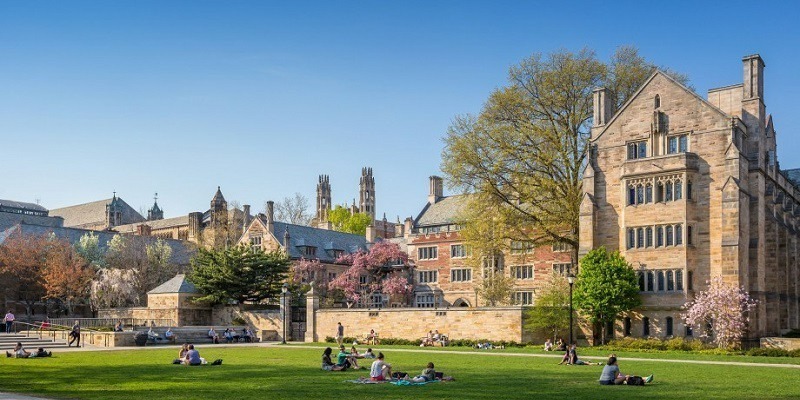 Đại học Yale nổi tiếng với các chương trình đào tạo chất lượng cao trong nhiều lĩnh vực