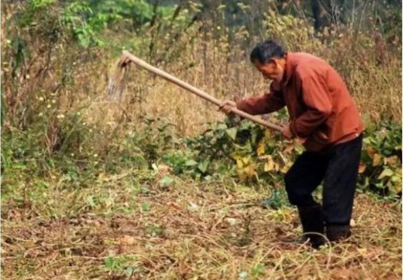 Khi đào đất, ông phát hiện ra một mảnh vàng sáng bóng, sau đó ông tiếp tục tìm thấy nhiều món đồ khác được làm từ vàng và ngọc. Ảnh: Sohu