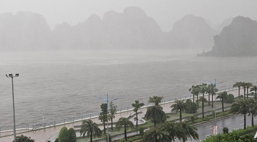 Lúc 5h30 sáng 23/7 tại Vân Đồn (Quảng Ninh) trời đang mưa nặng hạt, gió thổi từng cơn và có dấu hiệu mạnh dần lên.