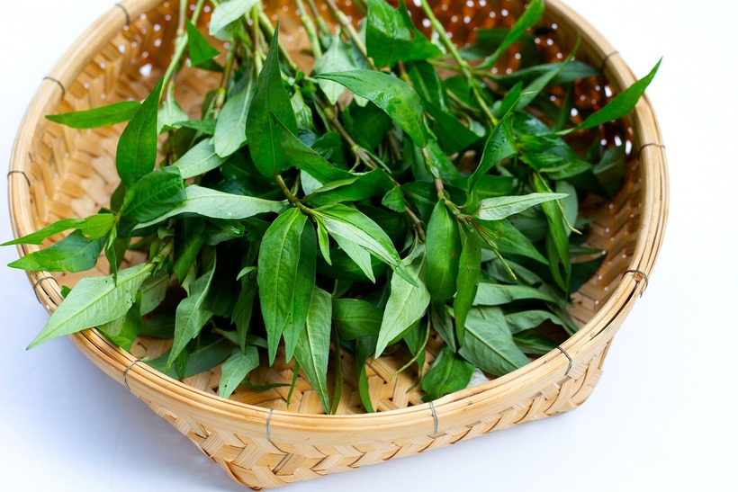 Đối với người bị yếu sinh lý ăn nhiều rau răm sẽ làm tình trạng bệnh ngày càng nghiêm trọng hơn. Ảnh minh họa