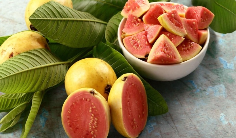Ổi là "nhà vô địch" về hàm lượng vitamin C, thậm chí còn cao gấp 4 lần cam.