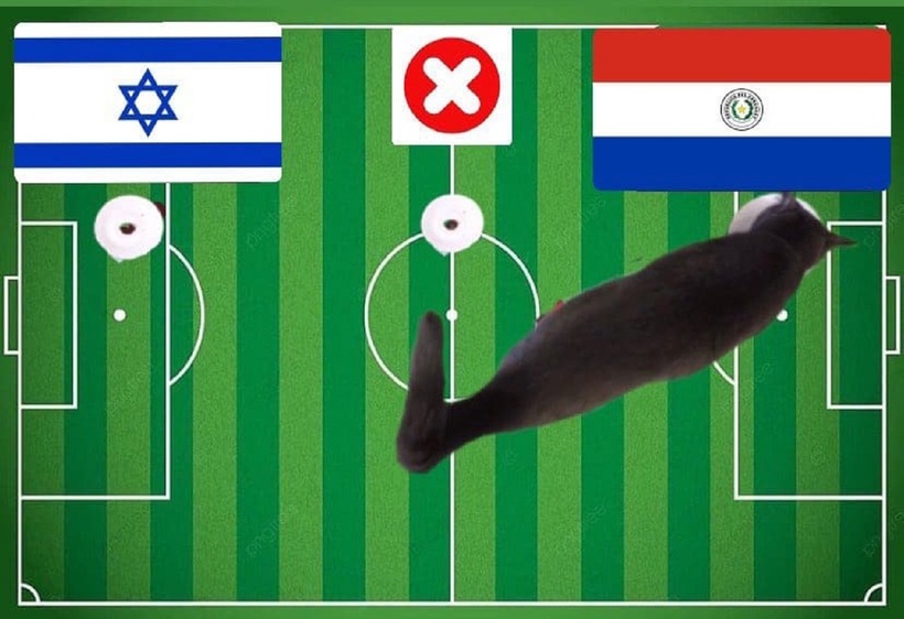 Lựa chọn của chú mèo tiên tri