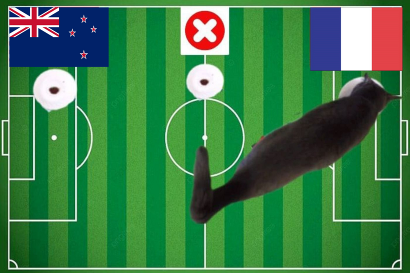 Lựa chọn của chú mèo tiên tri