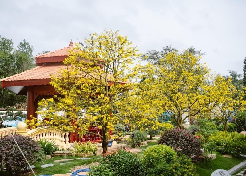 Khuôn viên sân vườn với nhiều tiểu cảnh đẹp mắt