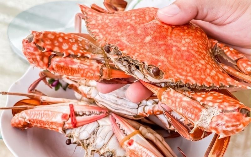 Vì sao không nên ăn cua ghẹ khi trăng tròn?