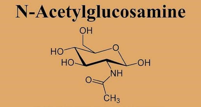 Hợp chất NAG (N-Acetyl-β-D-Glucosamine) (Ảnh: NVCC).