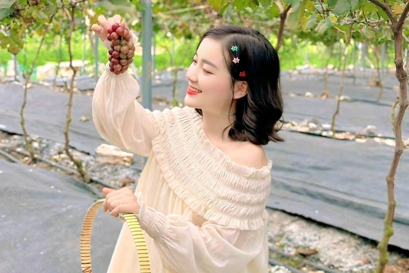 Khách đến vườn nho chụp ảnh. Ảnh: Dân trí