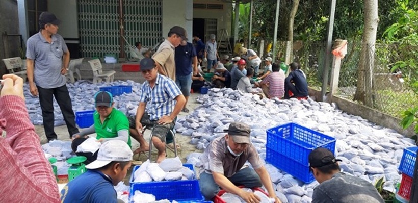 Thương lái mua ba ba tại nhà anh nông dân Bùi Văn Khả. Ảnh: Nguyễn Thị Ướm
