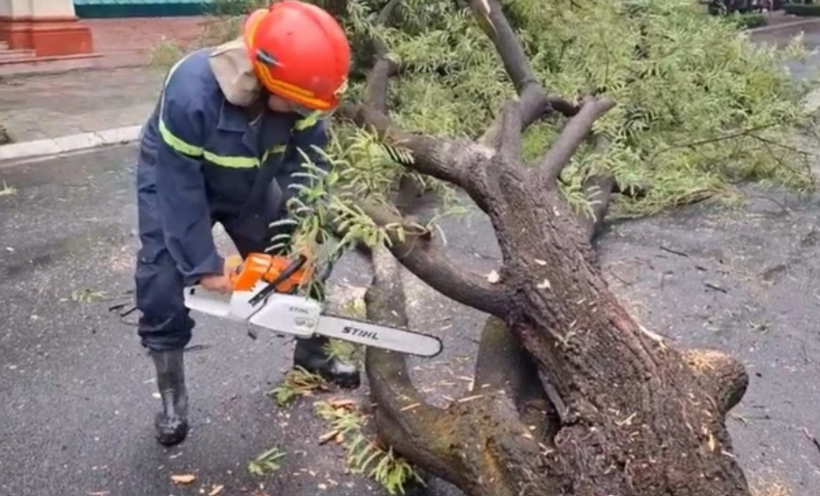 Một cây xanh cao khoảng 10 mét, tán rộng nằm trên đường Lý Chính Thắng bất ngờ ngã ra đường. Ảnh: báo Thanh niên.