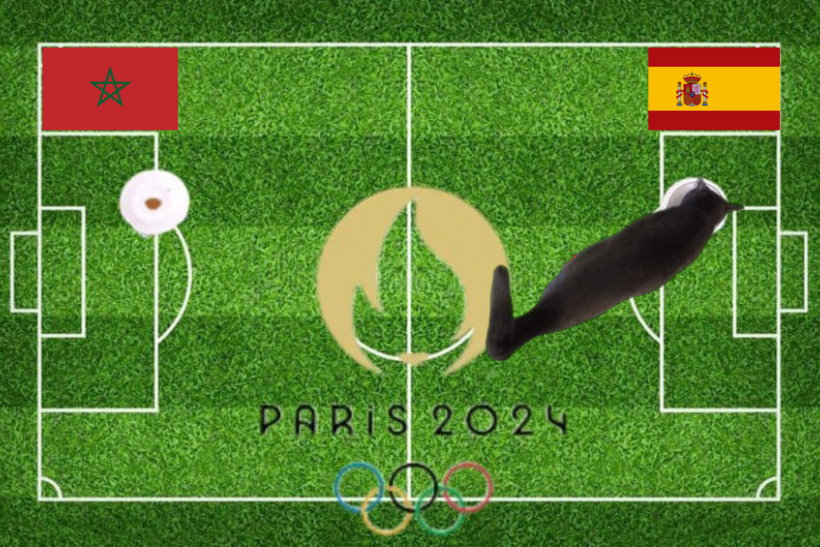 Lựa chọn của chú mèo tiên tri