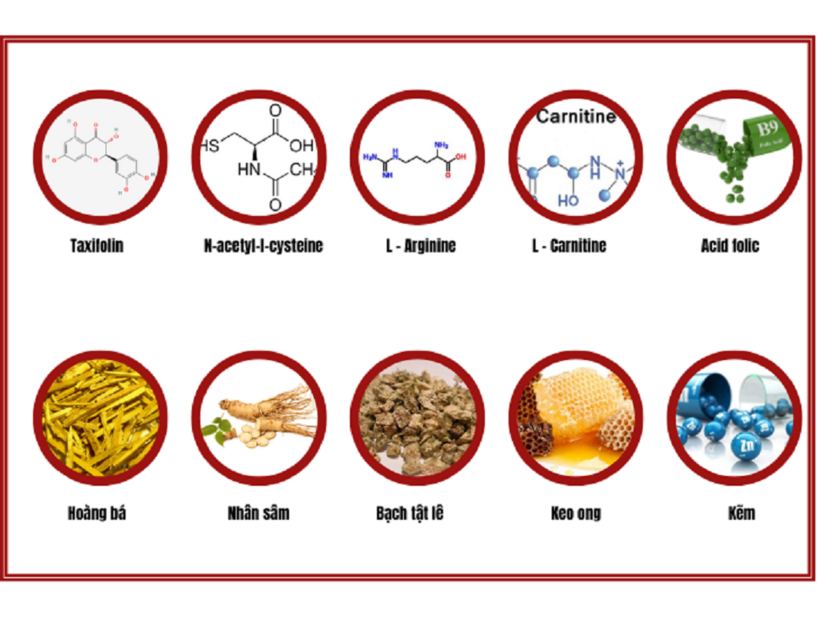 Linh Tự Đan Platinum với thành phần công thức độc đáo giúp bổ trứng, tăng cơ hội thụ thai