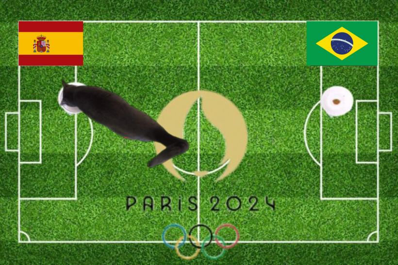 Lựa chọn của chú mèo tiên tri