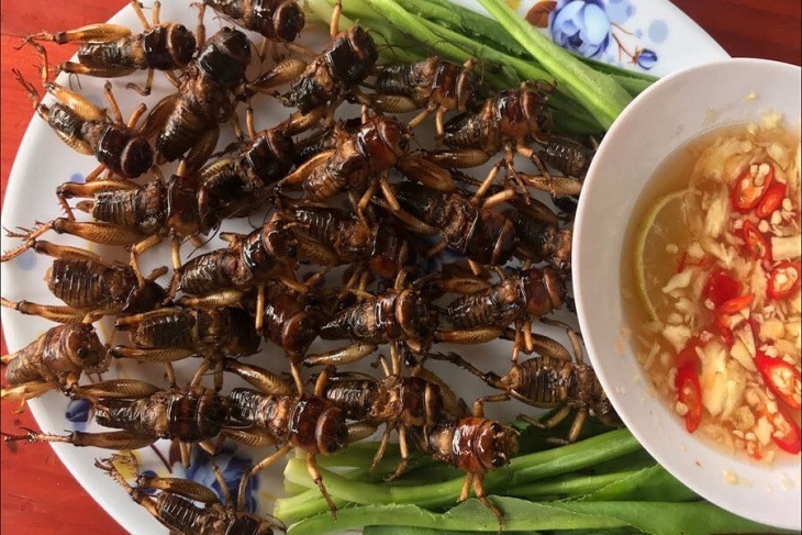 Món dế chiên giòn thơm ngon, hấp dẫn. Ảnh minh họa