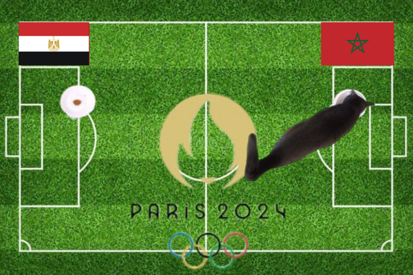 Lựa chọn của chú mèo tiên tri trong trận tranh huy chương Đồng Olympic 2024