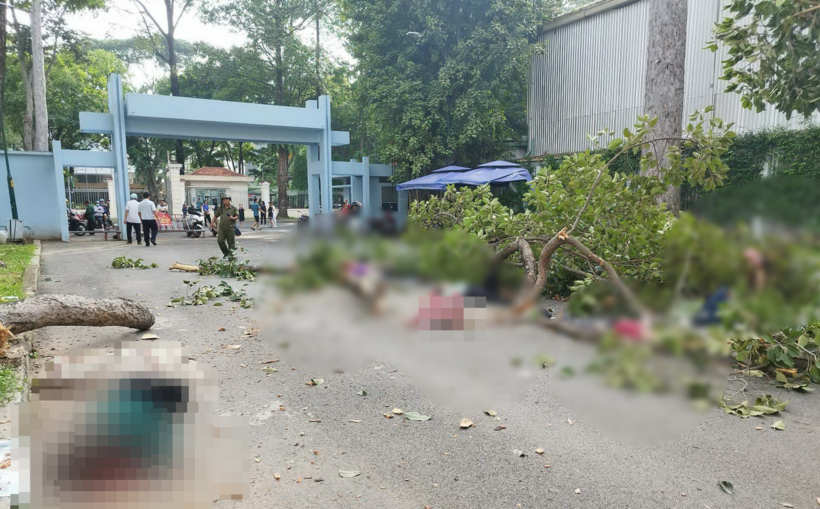 Hiện trường vụ nhánh cây gãy trúng người đi tập thể dục ở Công viên Tao Đàn. (Ảnh: Tuổi trẻ)