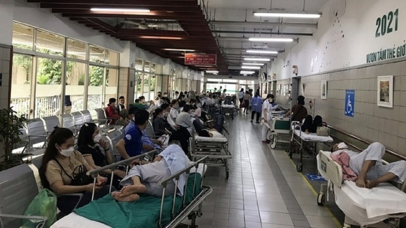 Toàn thành phố ghi nhận 171 ca mắc sốt xuất huyết. Ngoài ra còn ghi nhận nhiều ca mắc bệnh tay chân miệng, bệnh ho gà, liên cầu lợn.