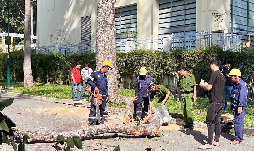 Hiện trường vụ gãy nhánh cây ở công viên Tao Đàn làm 2 người chết. (Ảnh: VietnamNet)