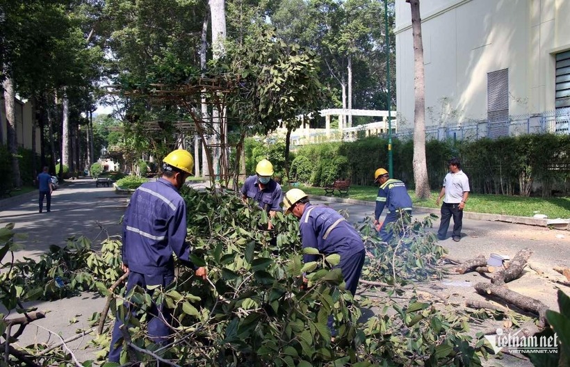 Nhân viên cây xanh dọn dẹp hiện trường. Ảnh: VietNamnet