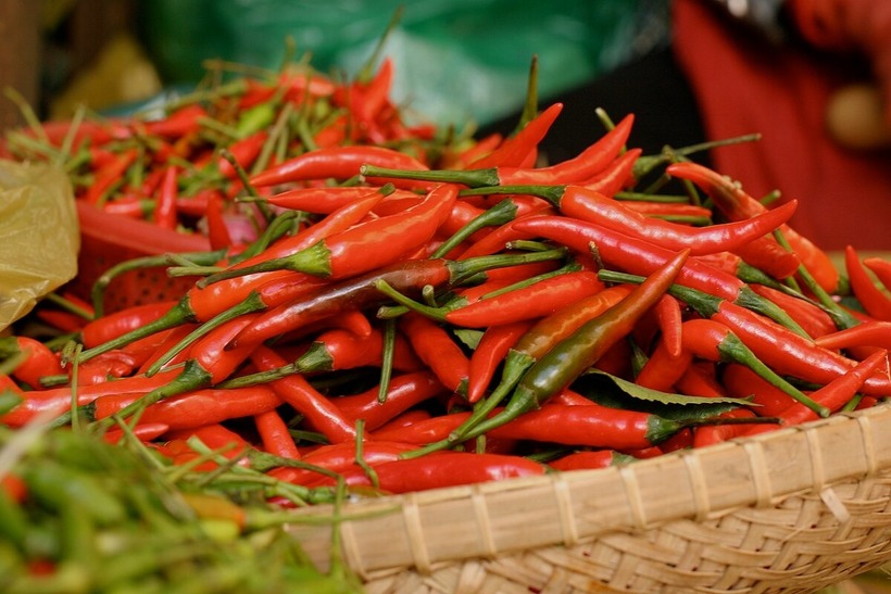 Capsaicin trong ớt vào niệu đạo có thể kích hoạt các phản xạ và dẫn đến cương cứng bộ phận sinh dục. Ảnh minh họa