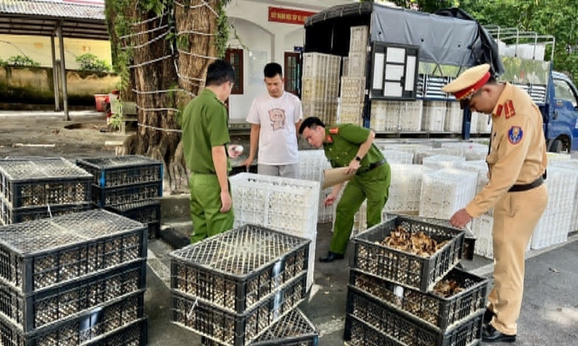 Tổ công tác Công an huyện Vân Đồn kiểm tra số hàng hóa trên xe tải.